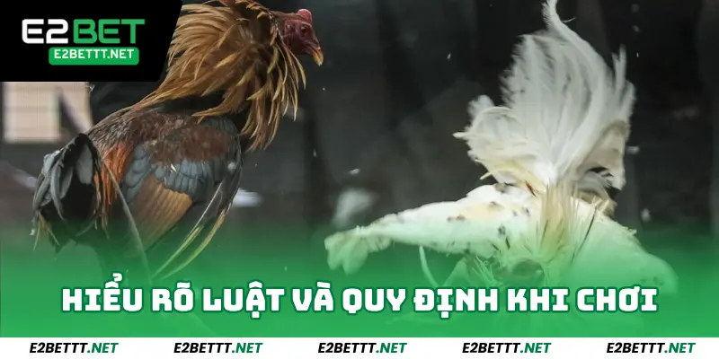 Đá Gà Philippines E2bet - Sảnh Chiến Kê Dễ Thắng Lớn 2025 4 Hiểu rõ luật lệ và quy định khi tham gia