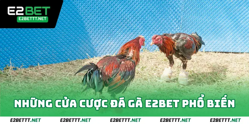 Những cửa cược đá gà e2bet phổ biến