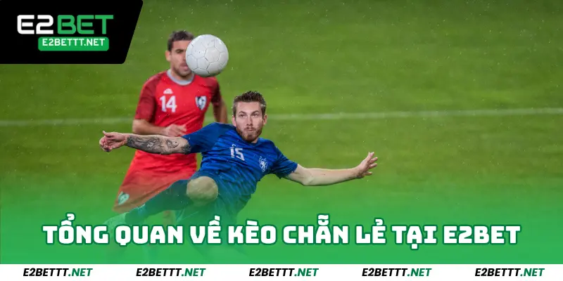 Kèo Chẵn Lẻ E2bet - Bí Quyết Chinh Phục Chiến Thắng Dễ Dàng 2 Tổng quan về kèo chẵn lẻ tại E2bet